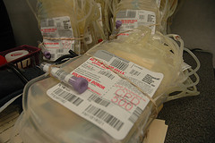 Labeling On Medical Pouches and Bags